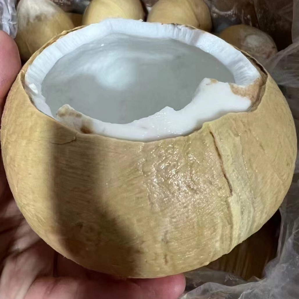 椰皇每份4枚，每枚380-400克，泰国