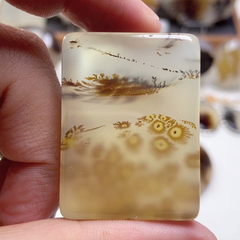 【闪购商品】玛瑙/玉髓颈饰未镶嵌