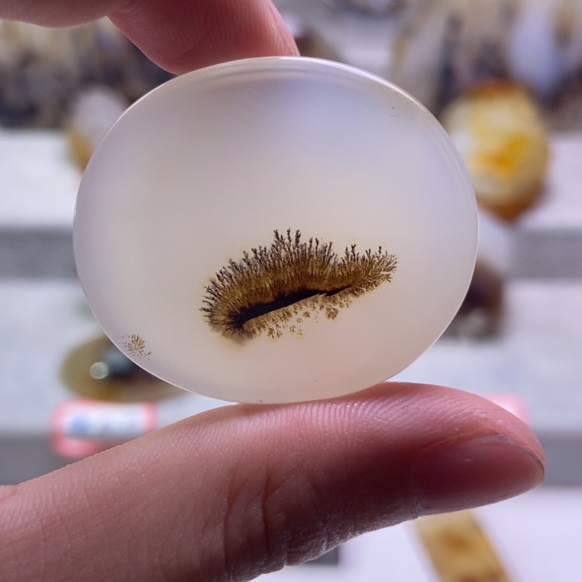 【闪购商品】未镶嵌玛瑙/玉髓珠宝奇石