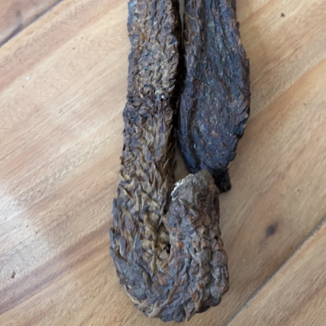 阿拉善肉苁蓉整根滋补好物