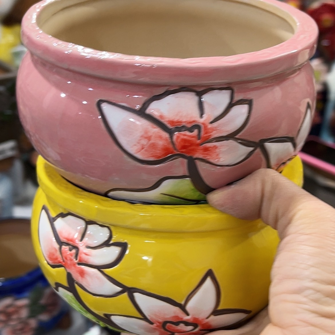 【闪购商品】红陶福利