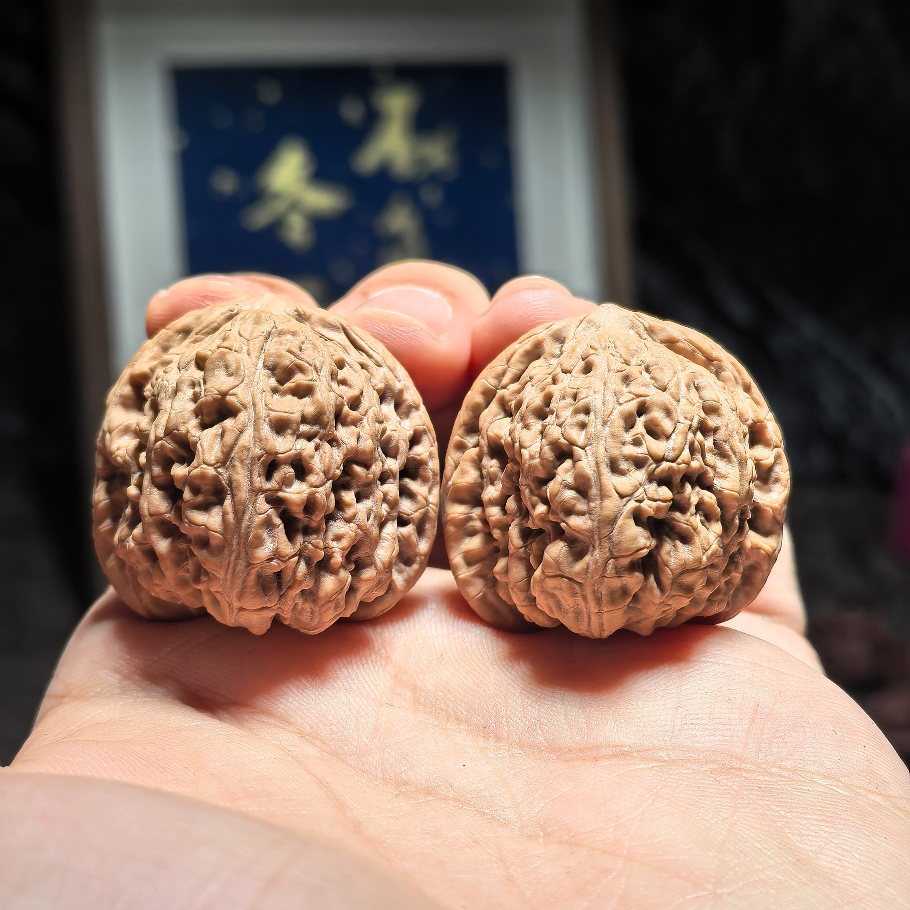 文玩核桃 承德密纹 8120号 34尺寸