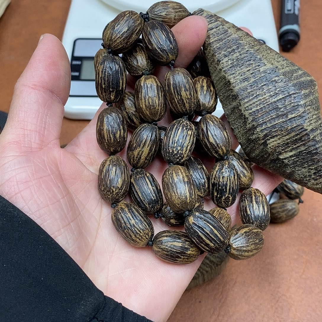 沉香沉香香囊虫漏