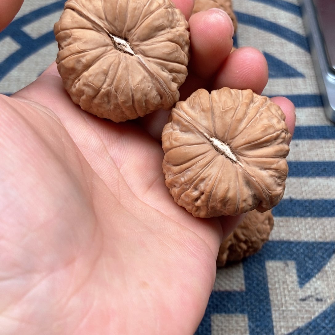 文玩核桃把件南瓜墩43