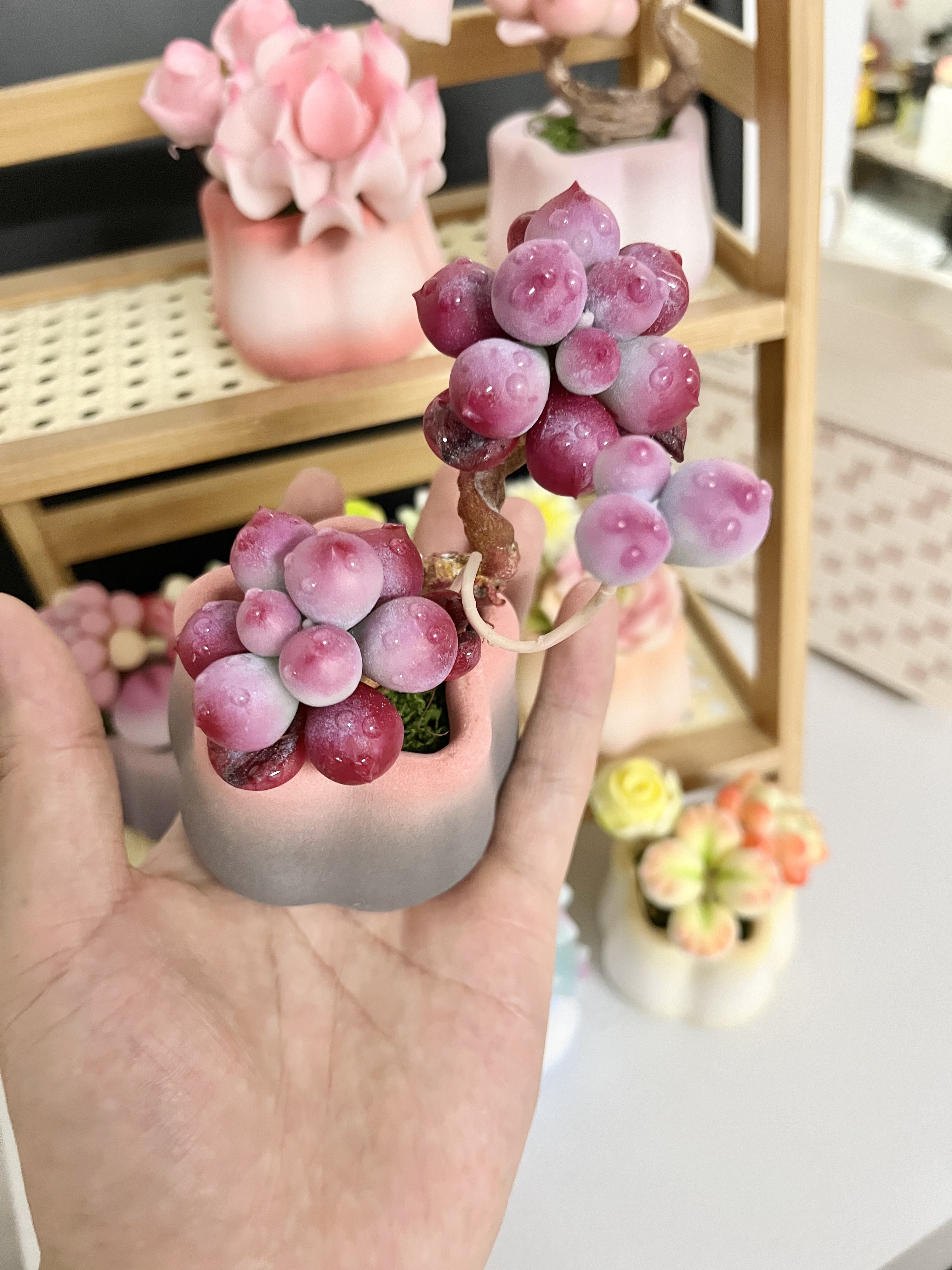 直拍006粘土多肉精美成品盆（未成年禁止下单） | 手工品默认微瑕