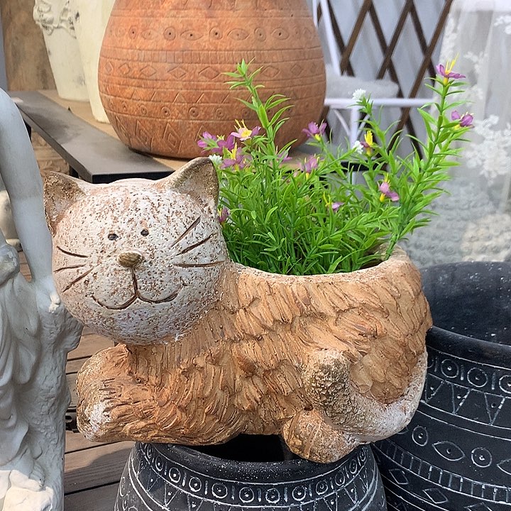 红陶高20长26口12.5