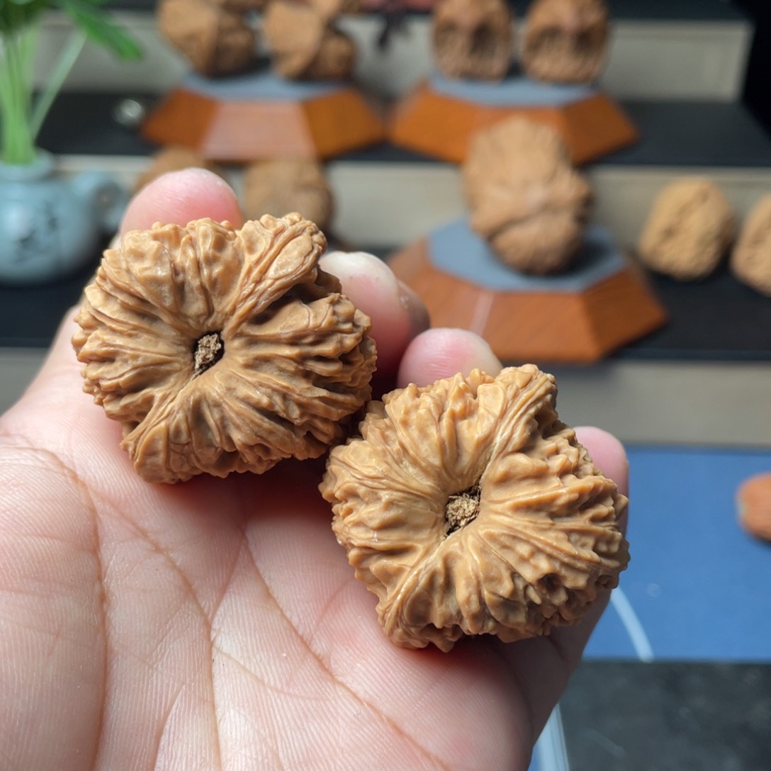 文玩核桃把件核桃