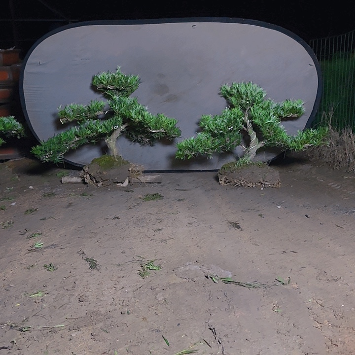 蓝***云无花朵66666666666666