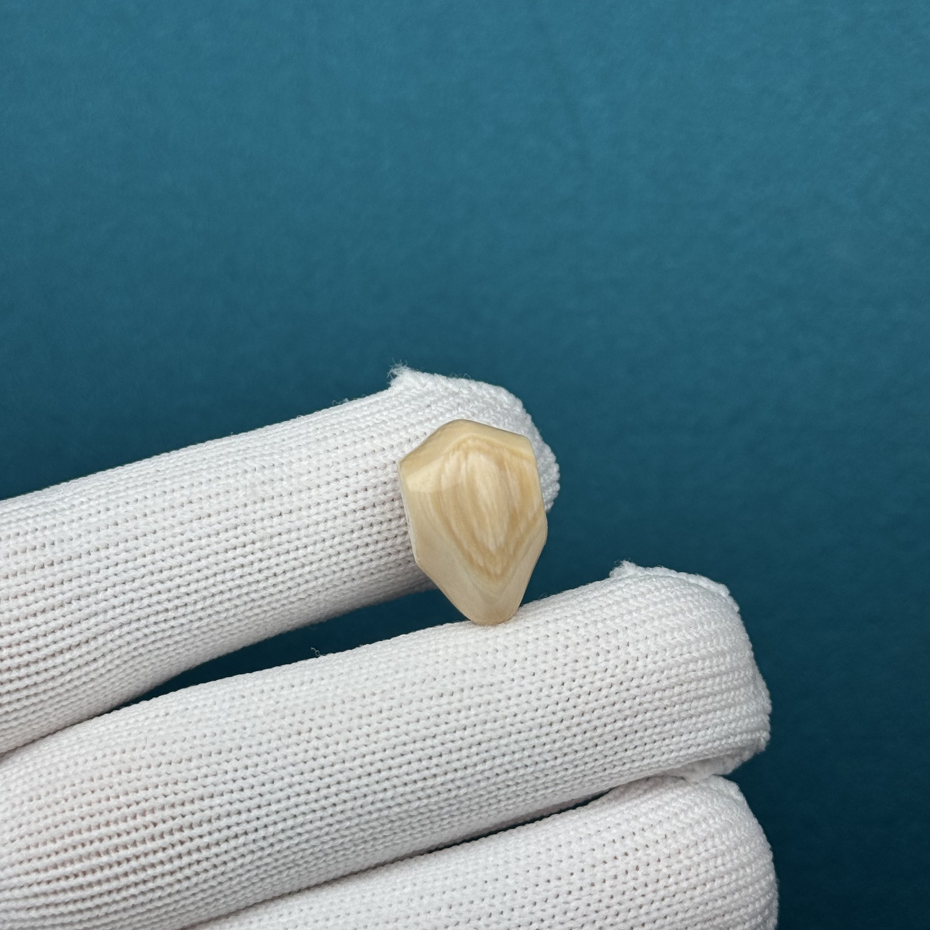 D59-66天然猛犸牙鲨鱼背三通11.8*17.8mm支持复检假一罚十