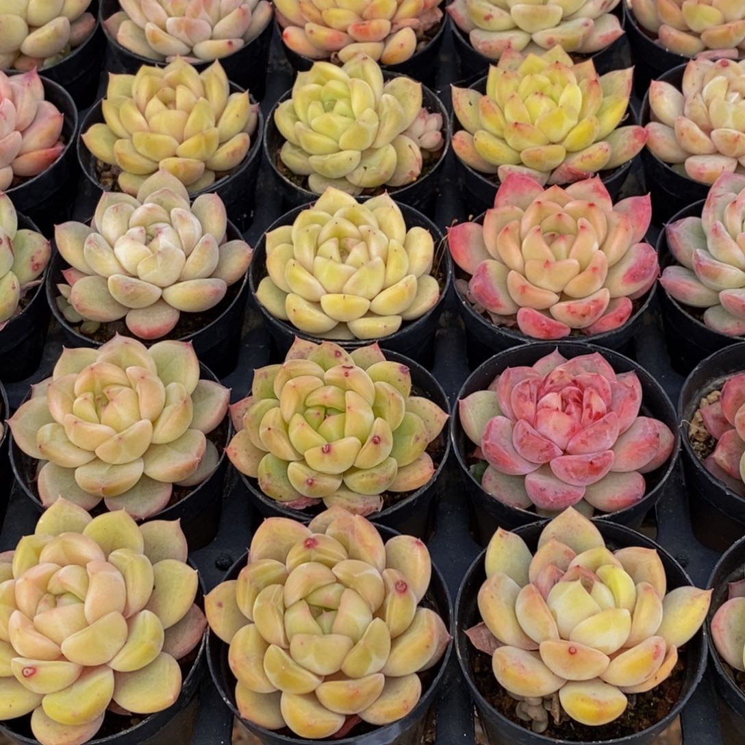 ?*娇856的人在一起的时候才