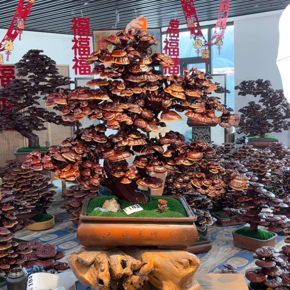 【闪购商品】88888