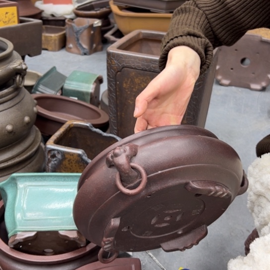 紫砂花盆漂亮漂亮