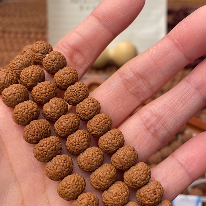 【闪购商品】金刚菩提吊坠?****<毒药龙鳞108
