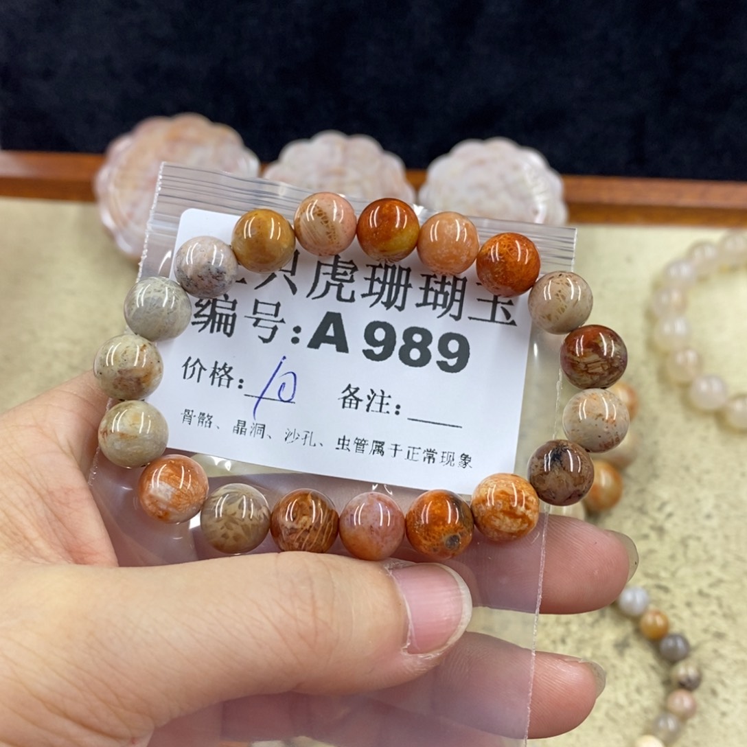 硅化珊瑚（珊瑚玉）1未镶嵌玲*啊