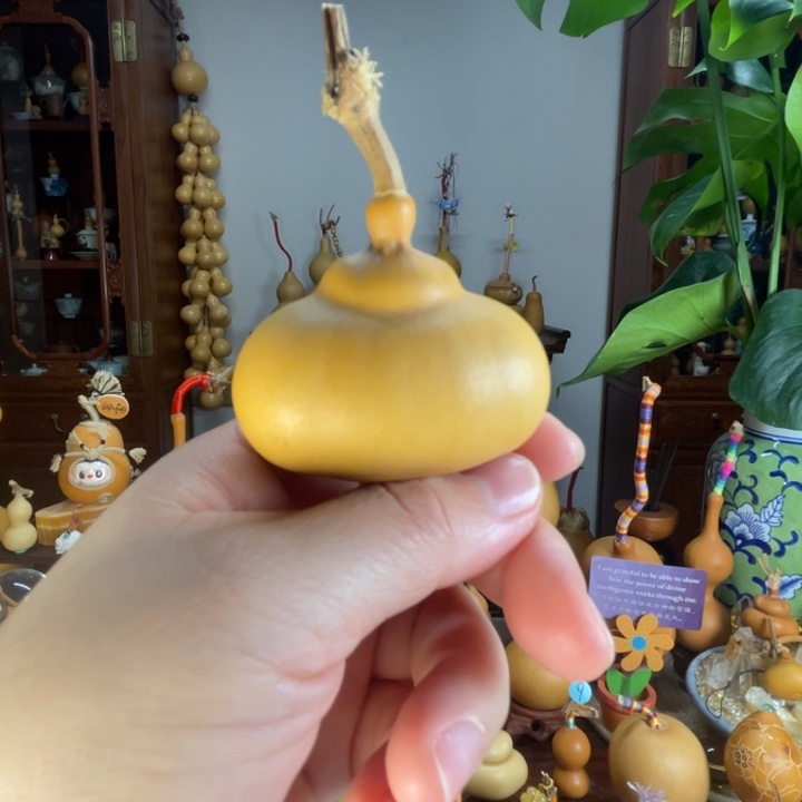 厚皮响籽福袋型葫芦福福