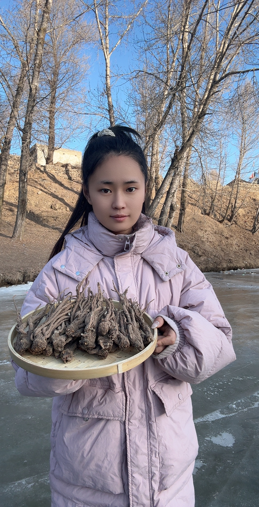 甘肃岷县原产地（当归小条）