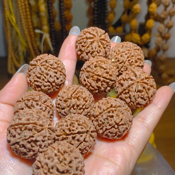 野生多瓣大金刚手持12颗288