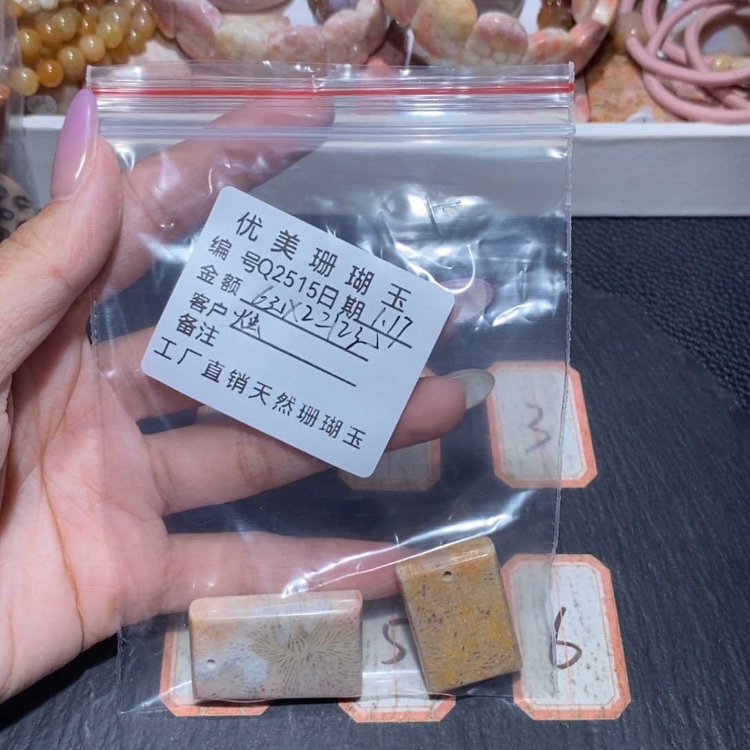 硅化珊瑚（珊瑚玉）吊坠未镶嵌烛2515