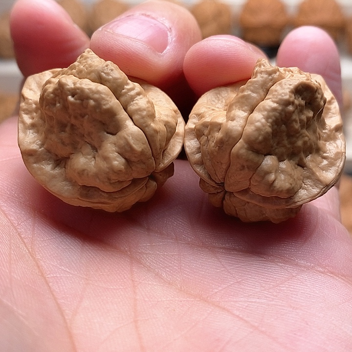 文玩核桃把件…………………………