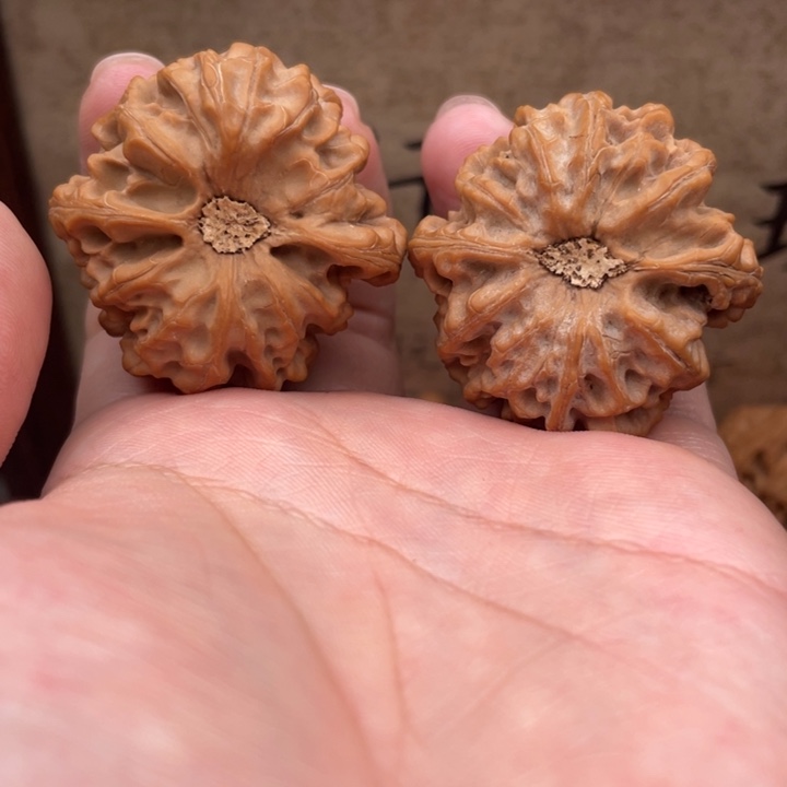 刘***瓶把件文玩核桃40龙门涧