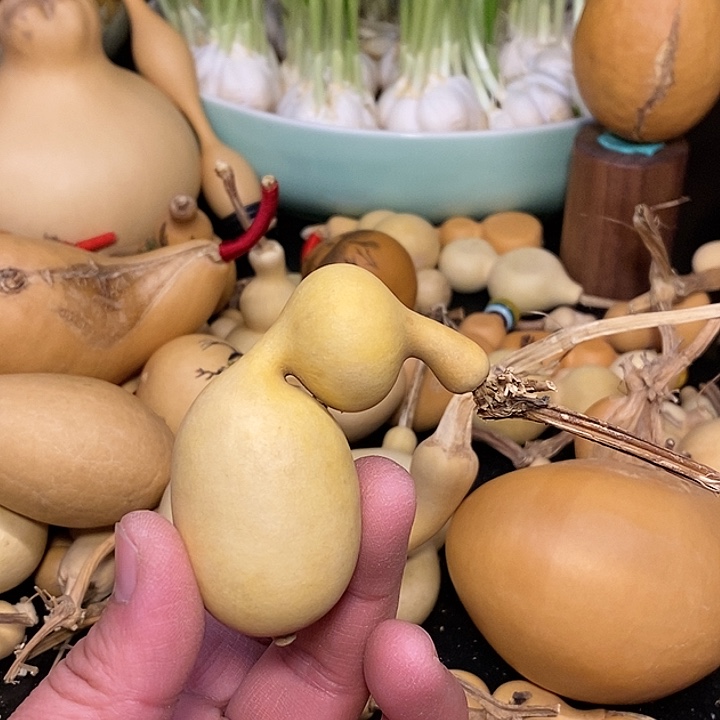 毛**赵精品葫芦手把葫芦104