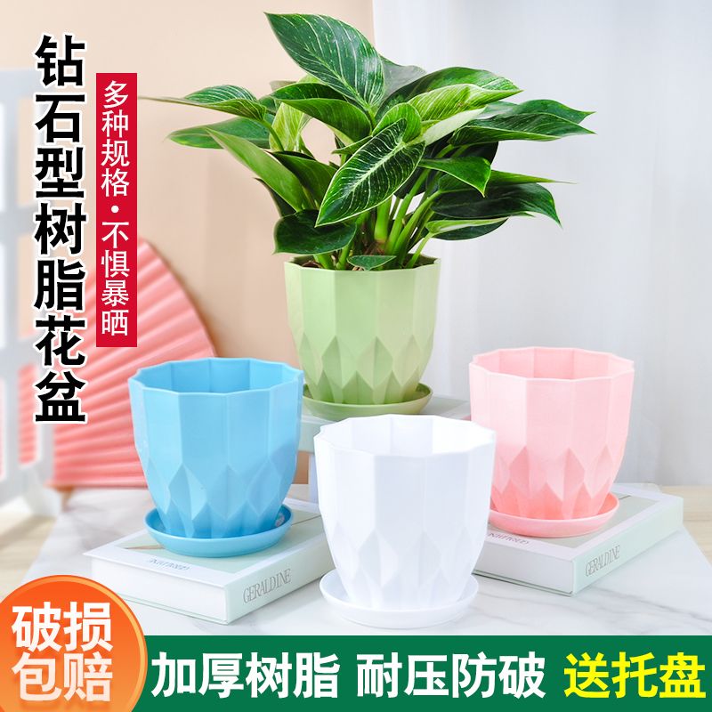 彩色创意花盆加厚树脂环保无味多肉仙人球彩叶芋长寿花花盆