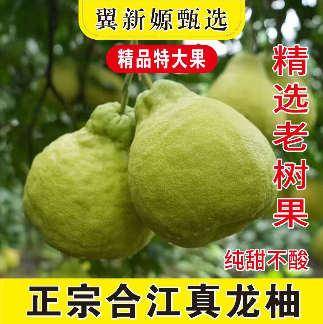 25年合江老树真龙柚白心柚子应季水果，精品特大果果王！（礼盒装）