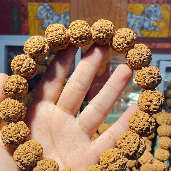 金刚菩提手串手持