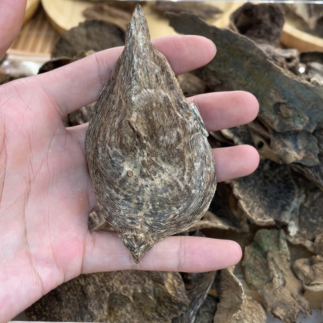 沉香沉香碎屑海南壳子料6.5克