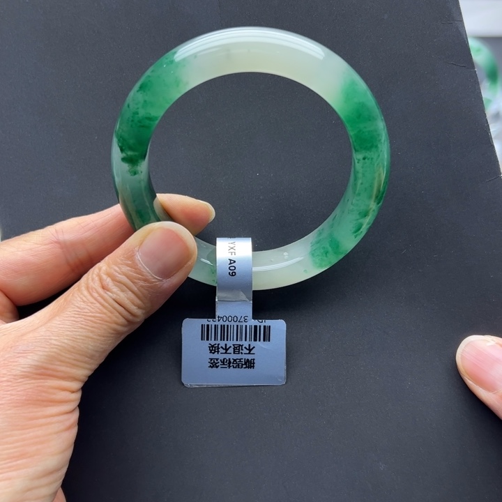 石英质玉未镶嵌手镯燕子➕56.2