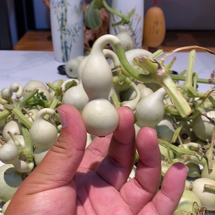 牛*精品葫芦手把葫芦12