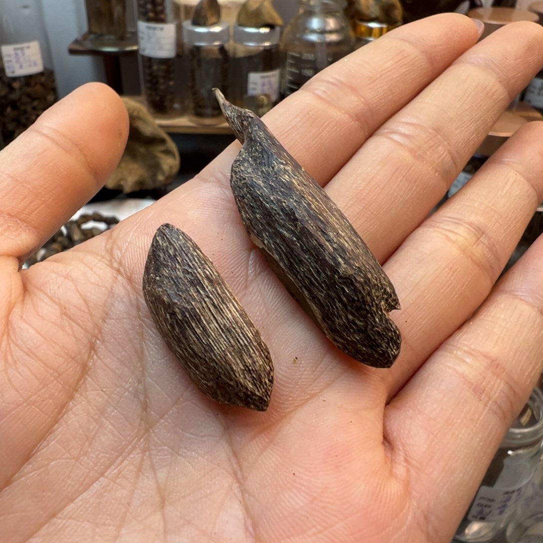 沉香木手把件吴*少海南瓜子料2.1克