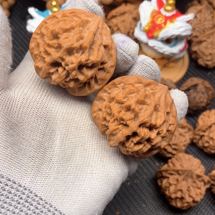 沙**?秦岭官帽大花45尺