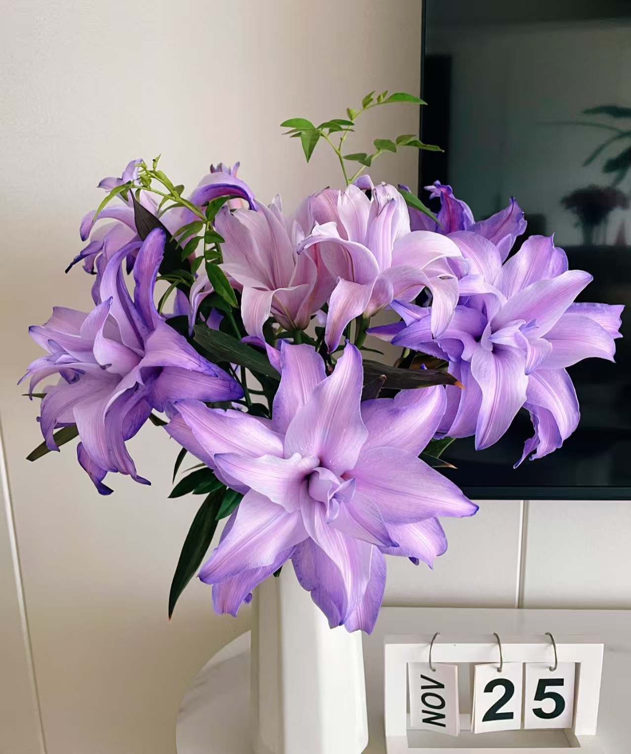 【紫霞仙子】重瓣百合#橘子柠檬清香#一单普运两单顺丰