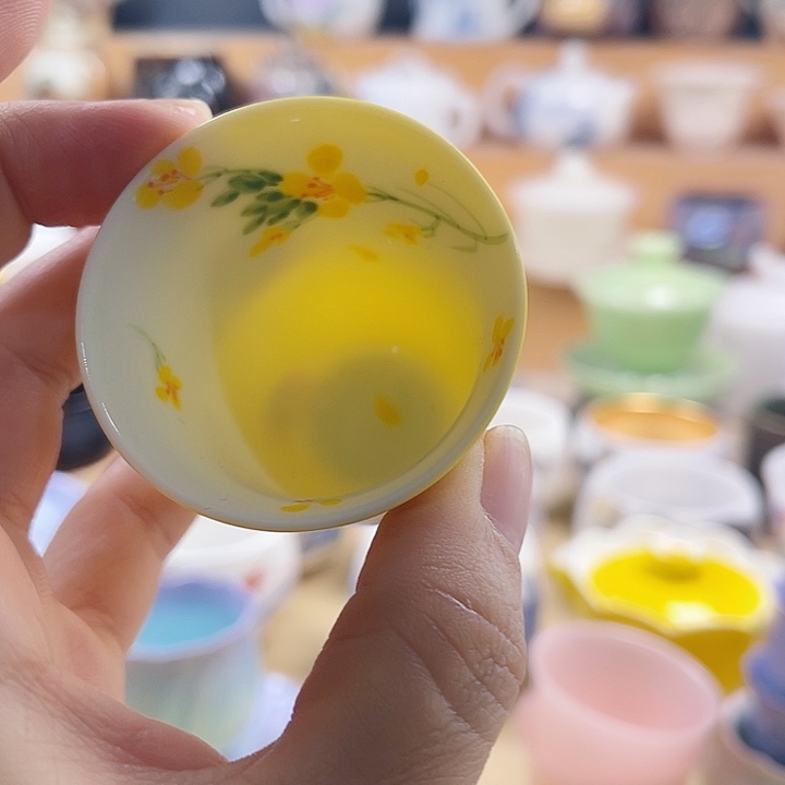 主人杯主人不在如何通话中体会