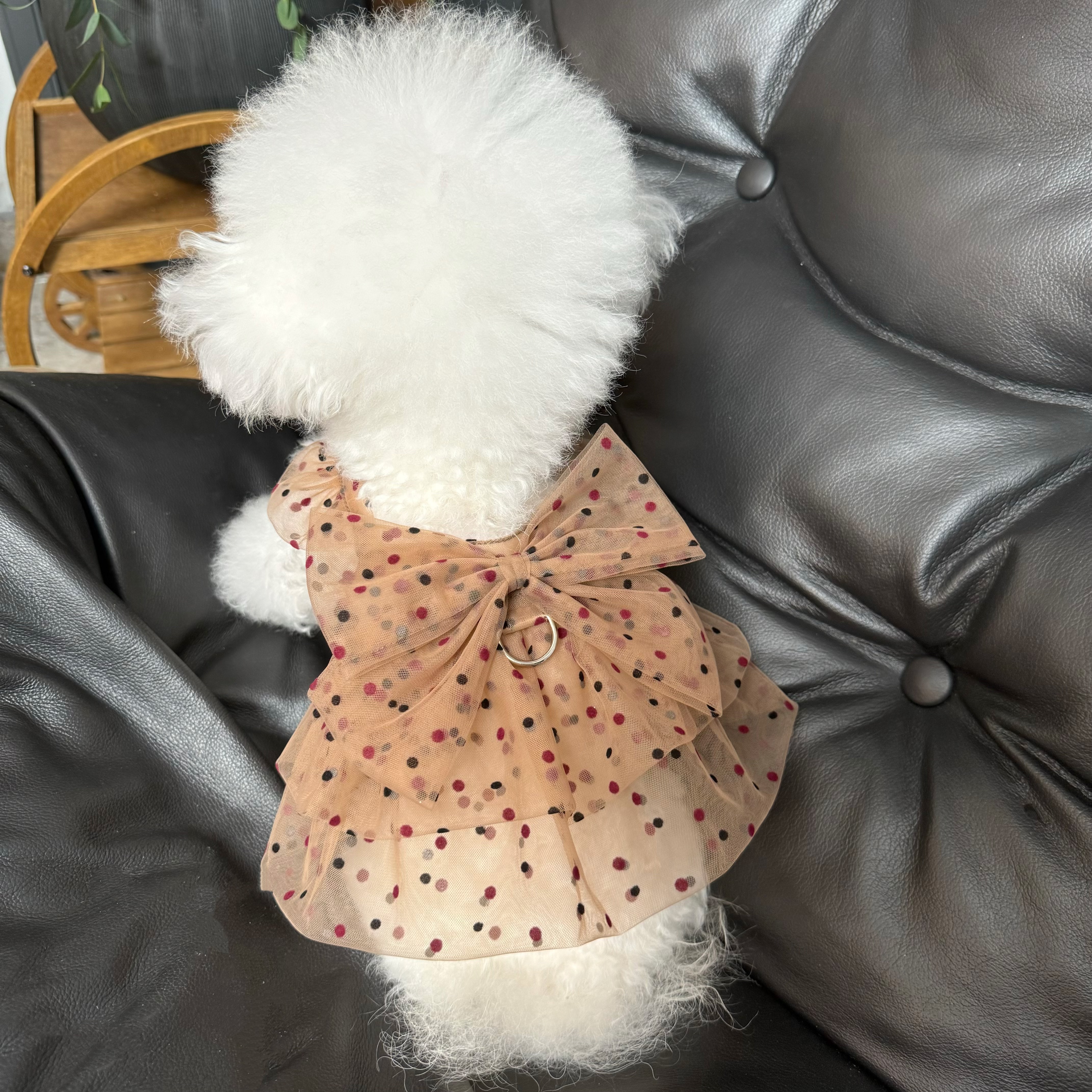 五只小白熊原创宠物衣服夏季新款网纱波点裙子狗狗猫咪薄款防晒衣