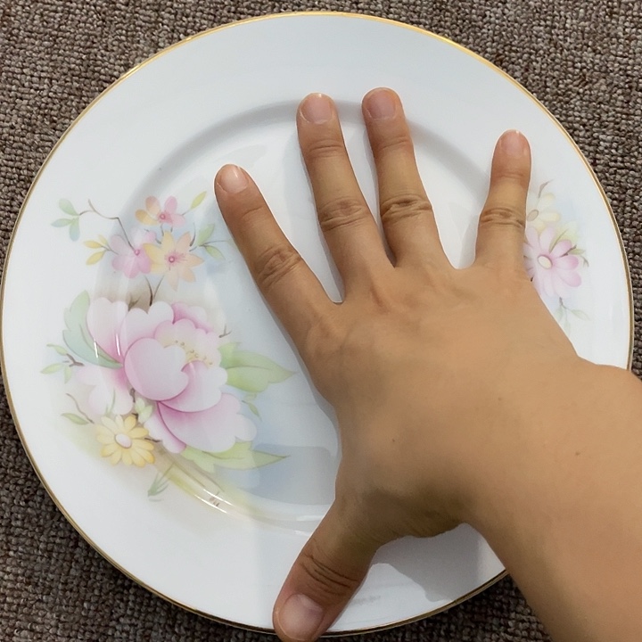 瓷片欧瓷中古瓷器陶瓷