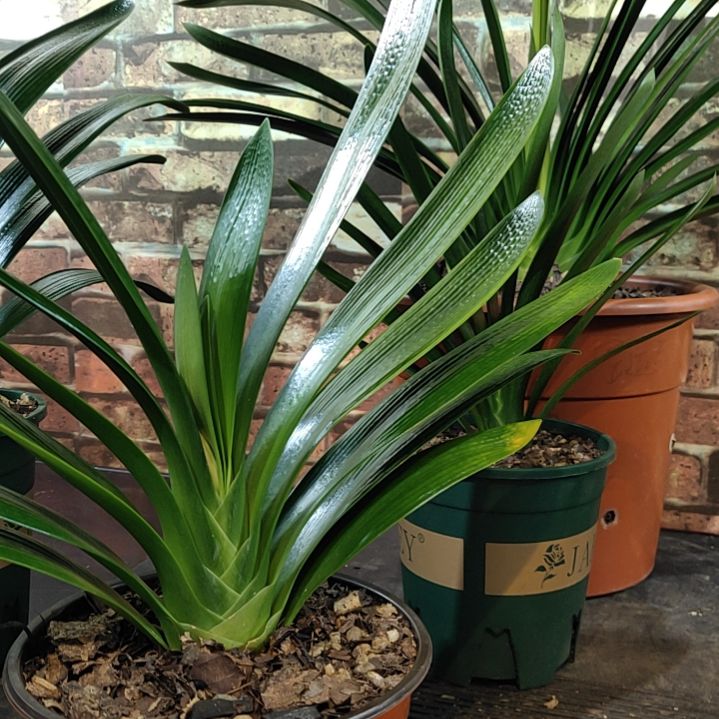 完全开放11111111111