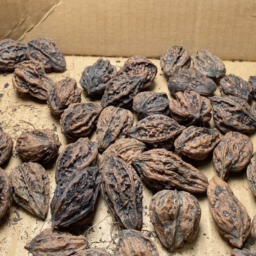 文玩核桃吊坠核桃96