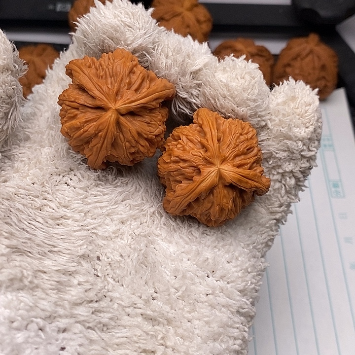 手串/手链核桃白狮子7