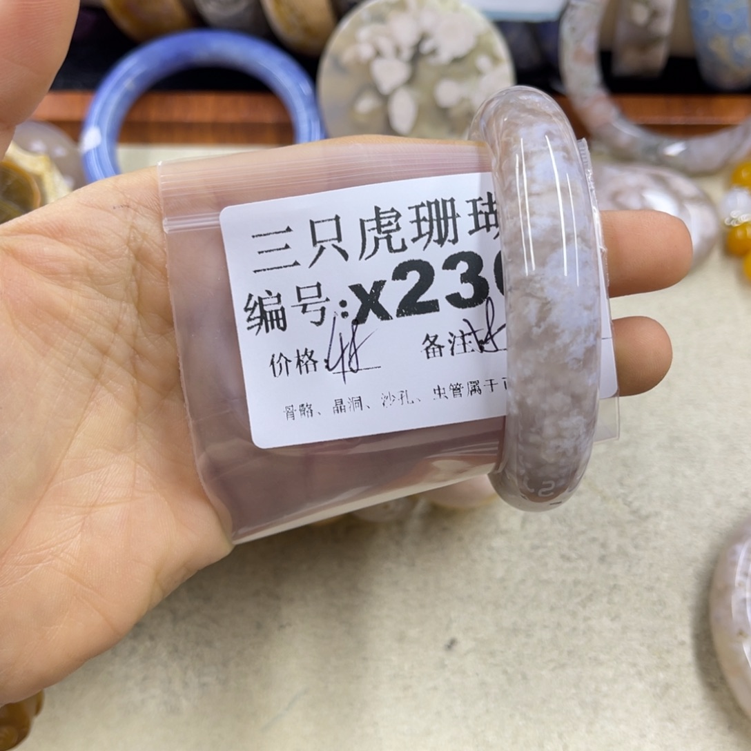 M***E硅化珊瑚（珊瑚玉）未镶嵌h