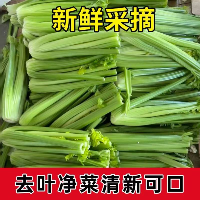 【现砍现发】 产地直发 西芹芹菜辽宁彰武大西芹5斤±0.2斤