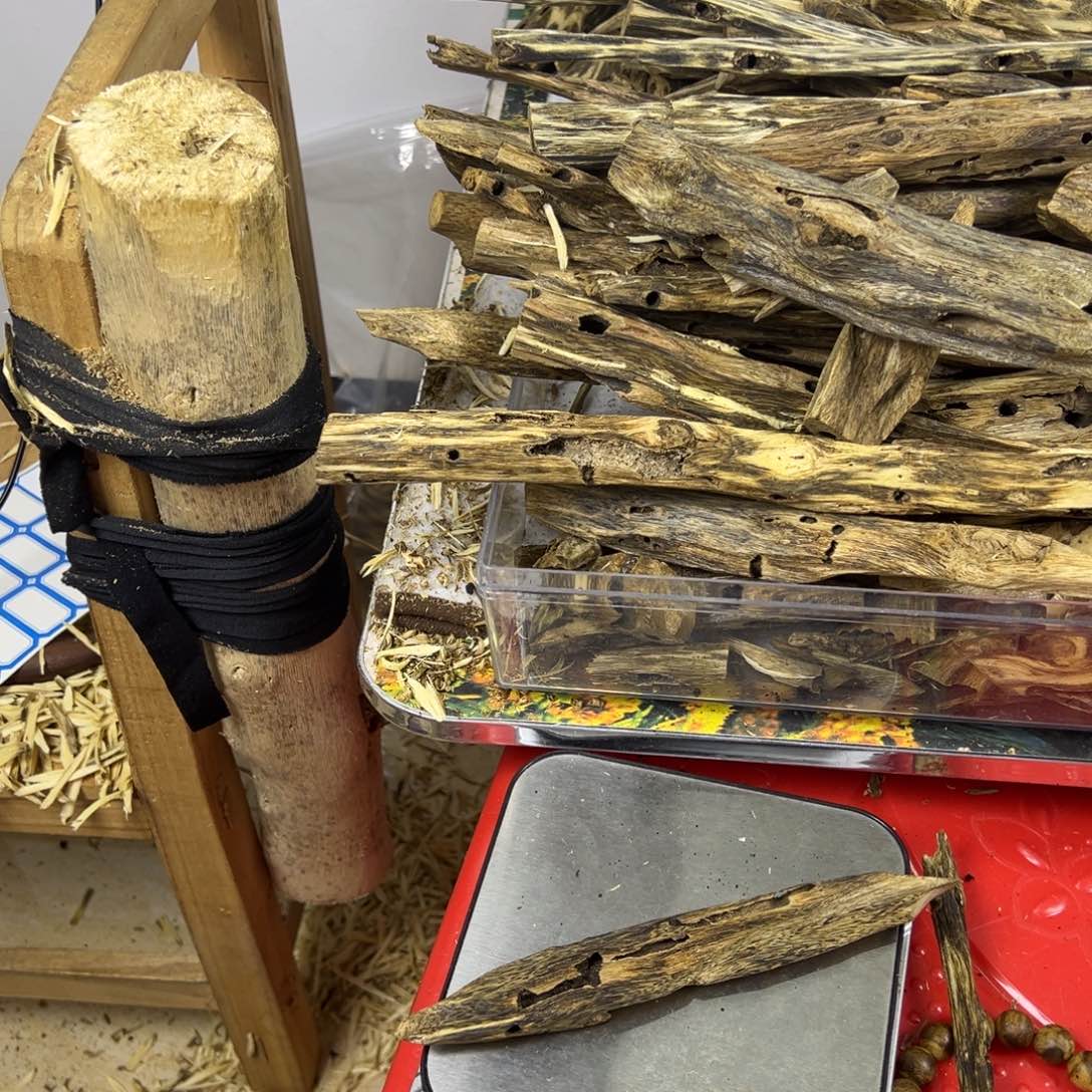 线香奇楠虫漏香24克