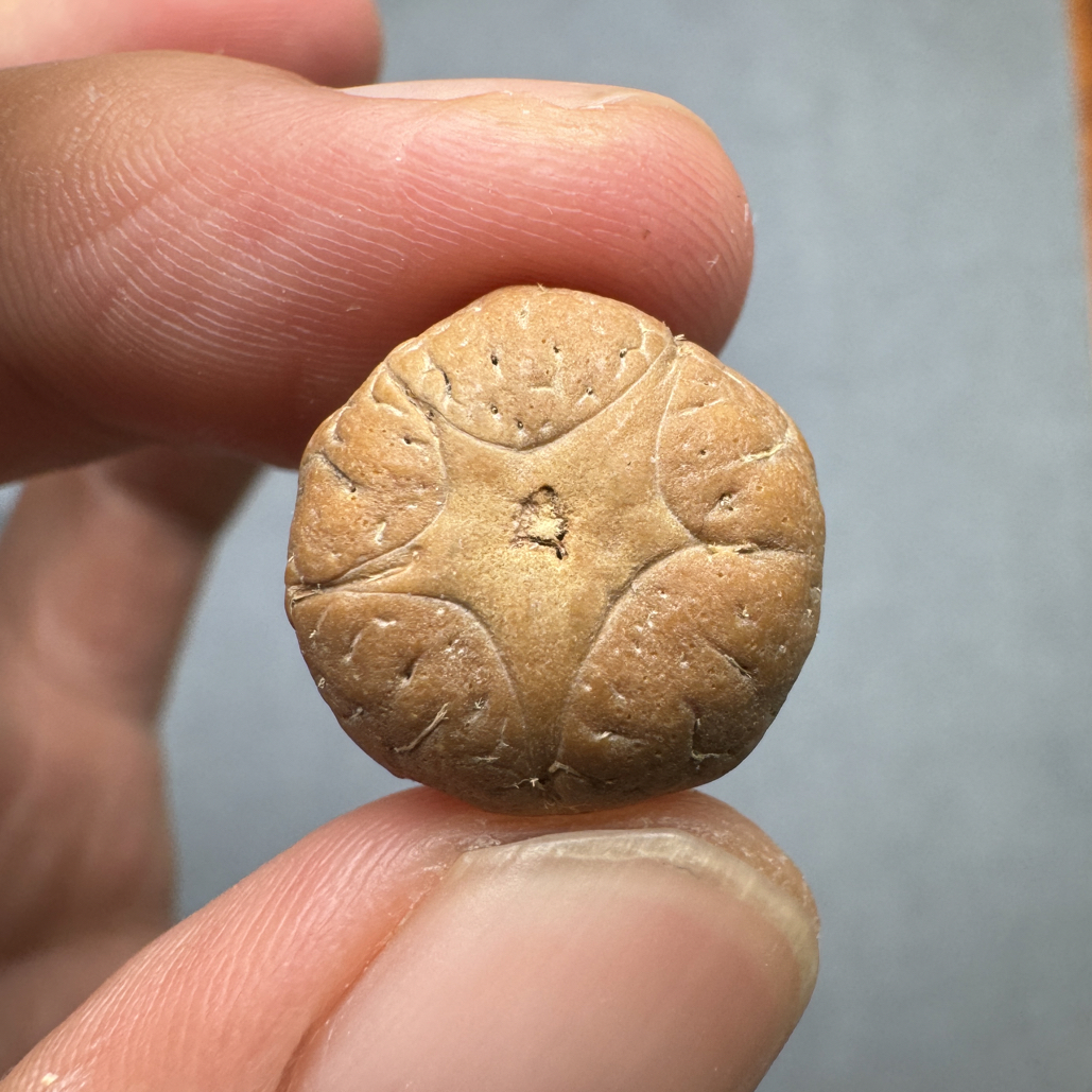 特价16+五星上将菩提凤眼菩提三通佛头，非质量问题开孔不退cj2500