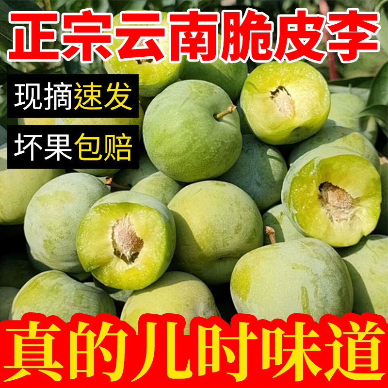 正宗云南古木青脆皮李新鲜当季现摘脆甜空心李子多汁水果脆清甜1