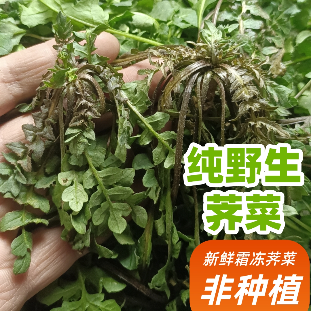 湖北野生荠菜鲜嫩4斤2斤3斤现挖地米菜 季季菜鸡心菜现挖野菜