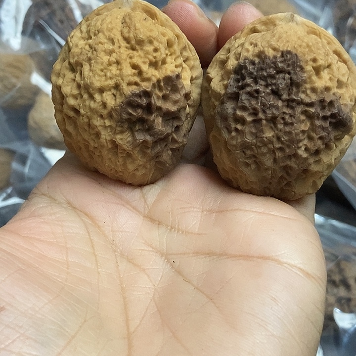 把件文玩核桃云南铁核桃基地27