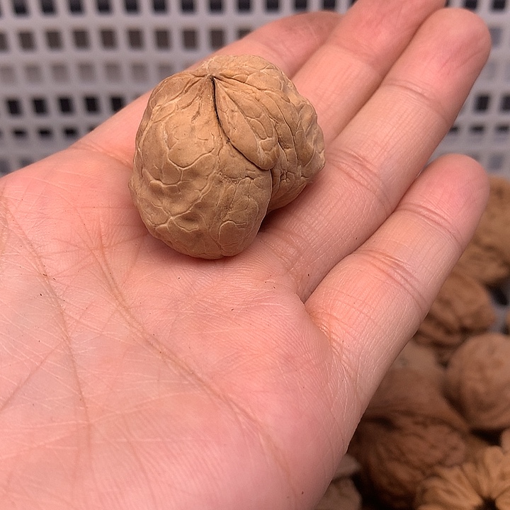 保***馆文玩核桃吊坠文玩核桃