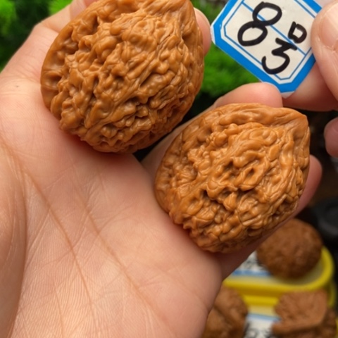 文玩核桃吊坠战*情蚂蚁王36