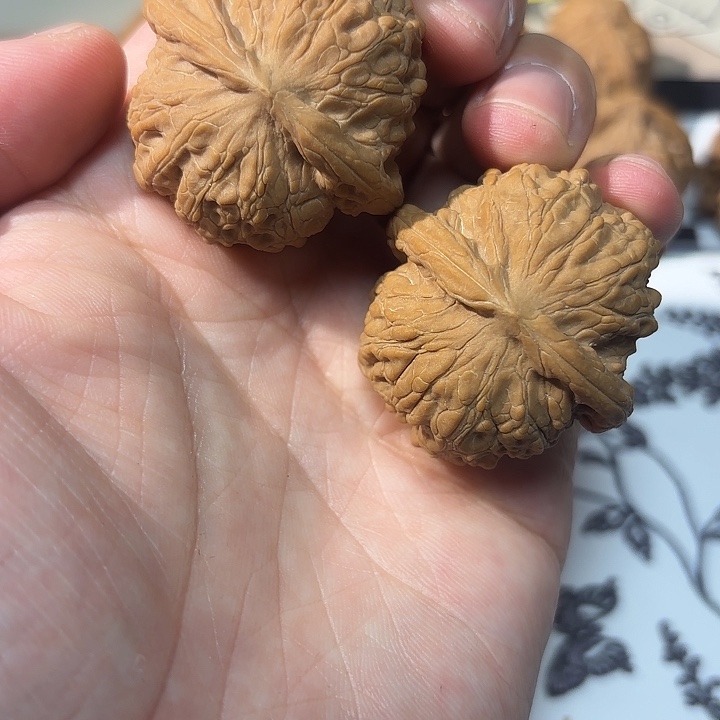 桃核吊坠血麒麟核桃